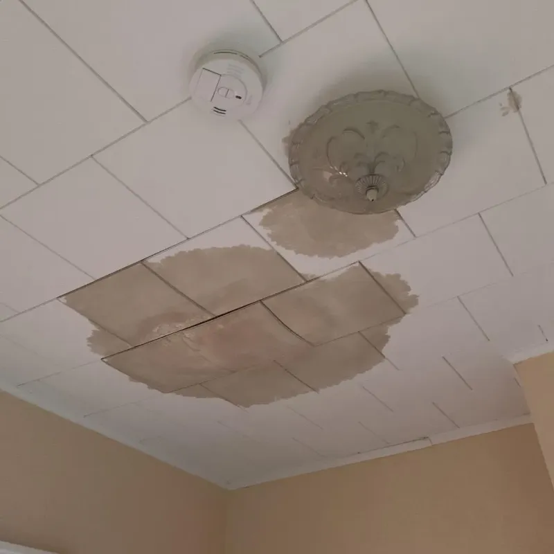 Ceiling Water Damage Repair in Plandome, NY